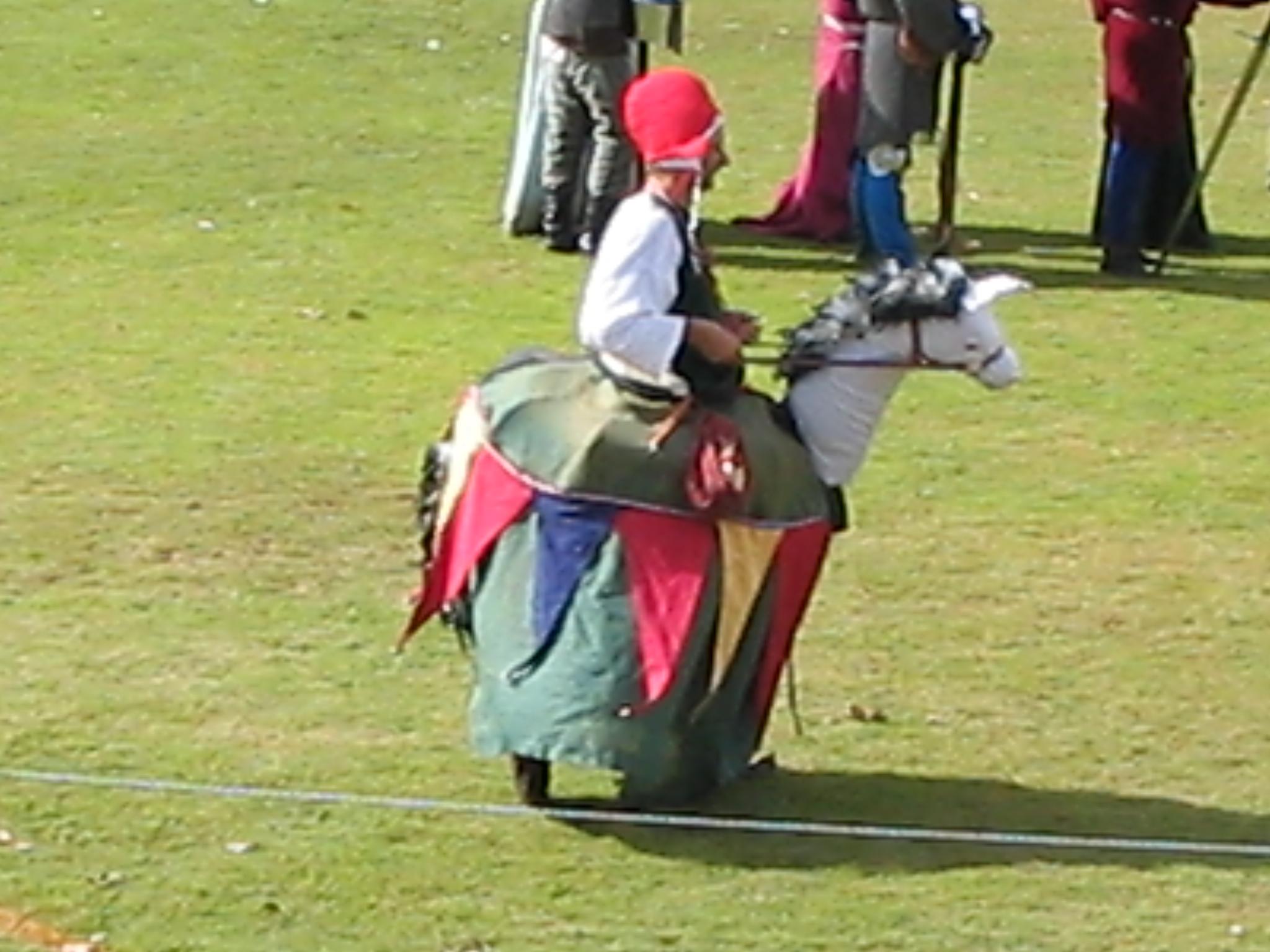 man in hobby-horse costume