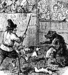 Bear baiting