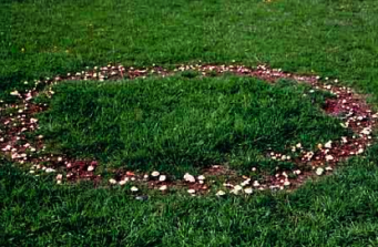 Fairy ring, showing both mushrooms and barren dirt.